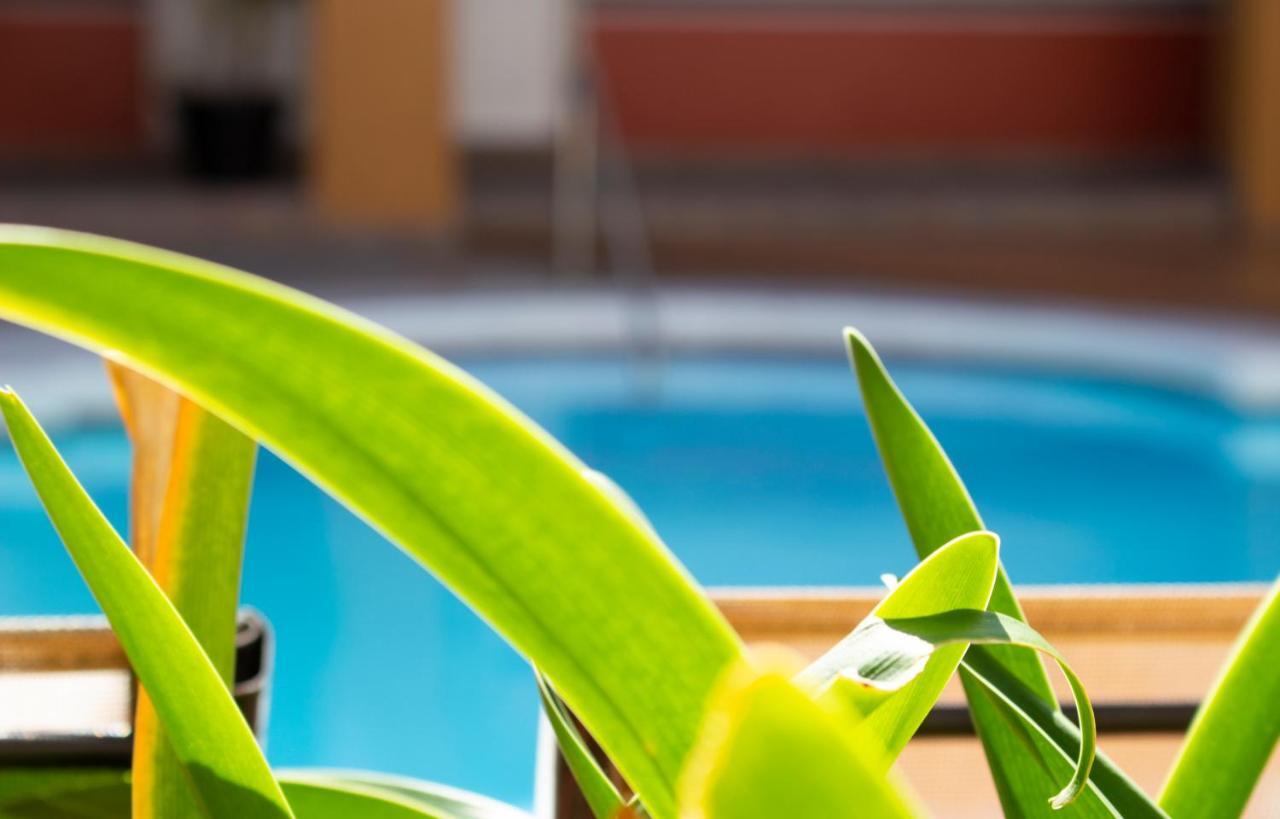 Del Mar Inn Playas Τιχουάνα Εξωτερικό φωτογραφία